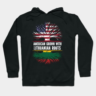 American Grown with Lithuanian Roots USA Flag Hoodie